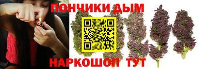 индика Балахна